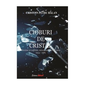Cioburi De Cristal