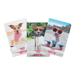 CAIET A5 48F PATRATELE COOL DOG