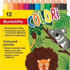 CREIOANE COLORATE PLASTIC 12 CULORI EBERHARD FABER