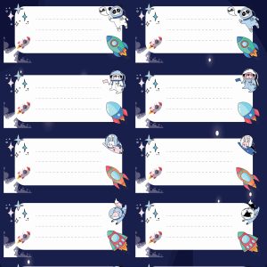 ETICHETE SCOLARE 30/SET RACHETE TLS-748 TANEX