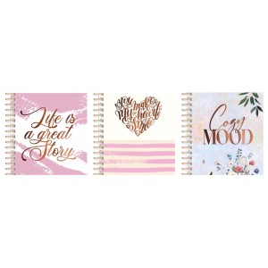 AGENDA NEDATATA 184X214MM 96 FILE DACO AN528