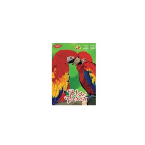 BLOC DESEN A4 16 FILE 170G DACO BD417