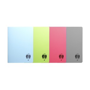 CAIET A5 TIP 2 DACO 24 FILE COPERTA PLASTIC CT522