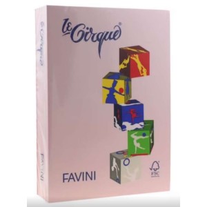 CARTON A3 COLOR 160G/MP 108 ROZ FAVINI