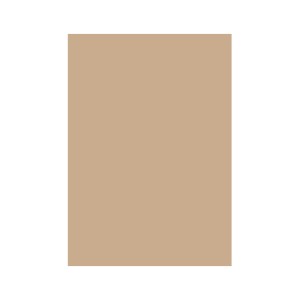 CARTON COLOR 160G/MP A4 MARO HAZELNUT