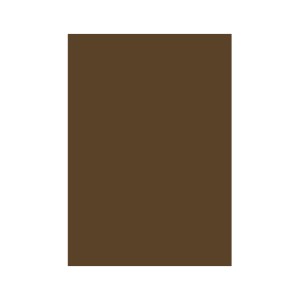 CARTON COLOR 160G/MP A4 MARO INCHIS