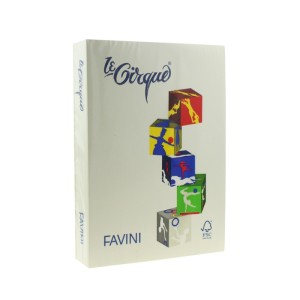 CARTON COLOR 220G/MP 70X100 15 10COLI GRI FAVINI A33W0A1