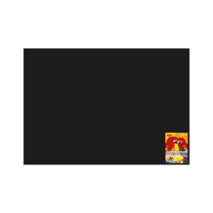 CARTON NEGRU CN271N 70X100 10 COLI DACO