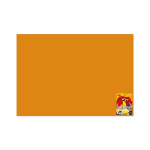CARTON COLOR CN271P PORT. 70X100 10 COLI DACO