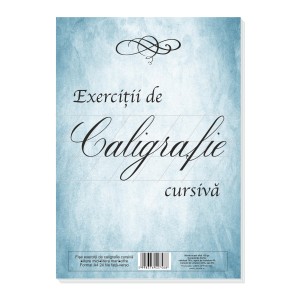 FISE CALIGRAFIE CURSIVA 24 FILE ECC4241
