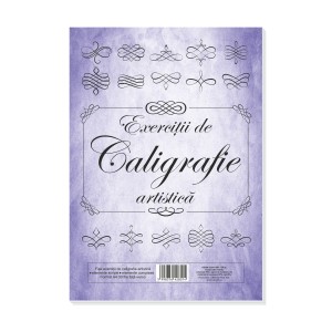 FISE CALIGRAFIE ARTISTICA 30 FILE L28014