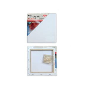 PANZA PICTURA PE SASIU 50X50CM DACO PZ5050