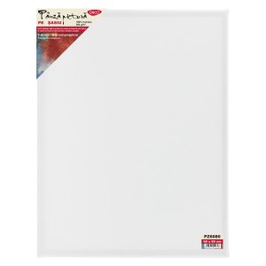 PANZA PICTURA PE SASIU 60X80CM DACO PZ6080