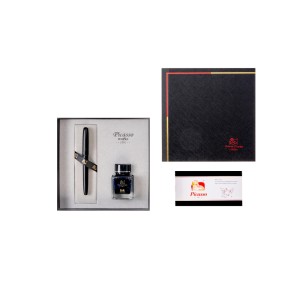 Set stilou PICASSO 8858 cu călimară și convertor, diverse culori